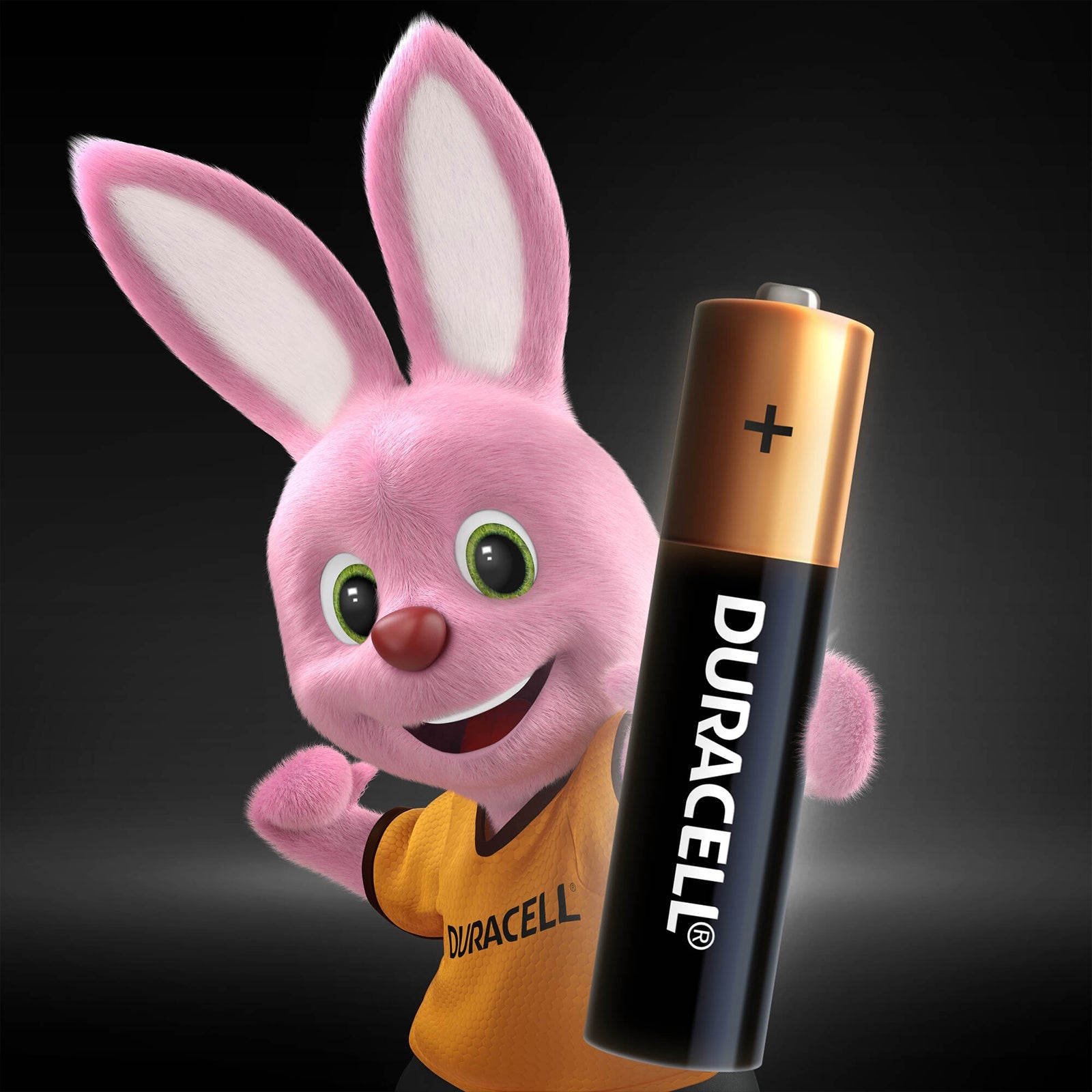 Duracell Alkaline AAA Batteries, pack of 5