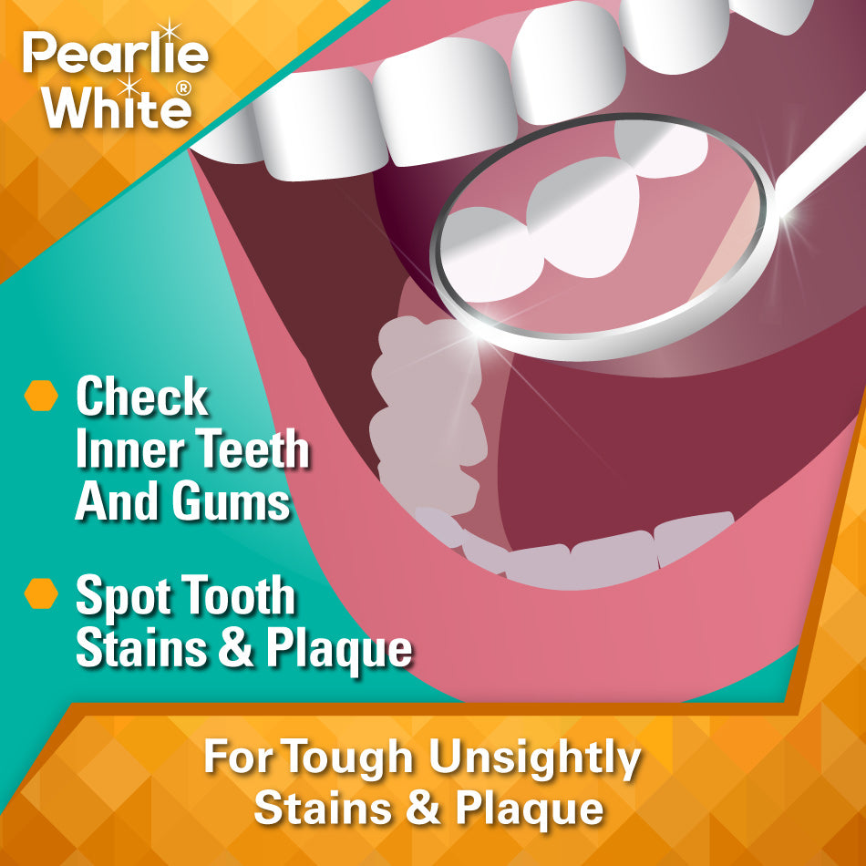 Lighted Dental Mirror