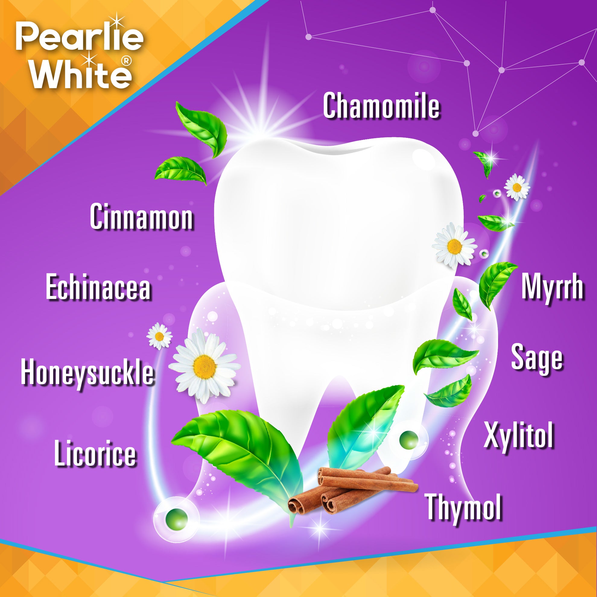 Chlor-Rinse Plus Antiseptic Mouth Rinse 250ml | Pearlie White