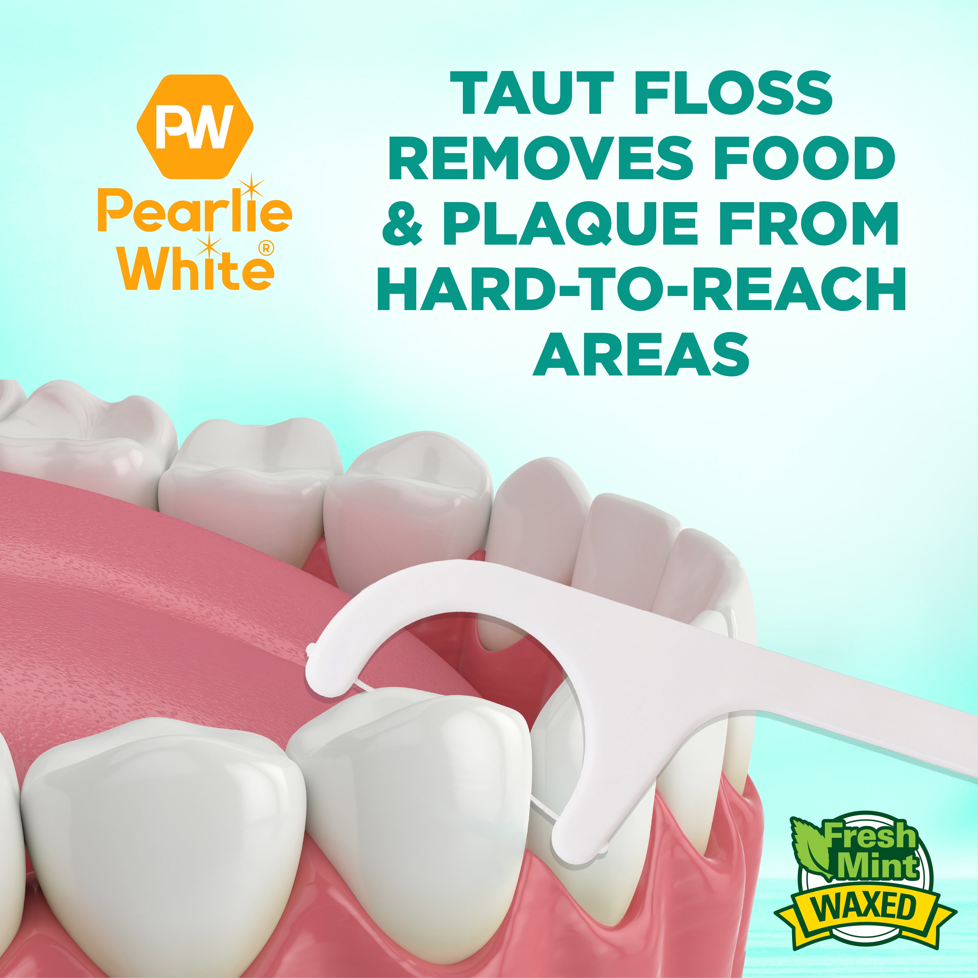 FlossPicks Value 2-IN-1 Mint Flosser 24pcs