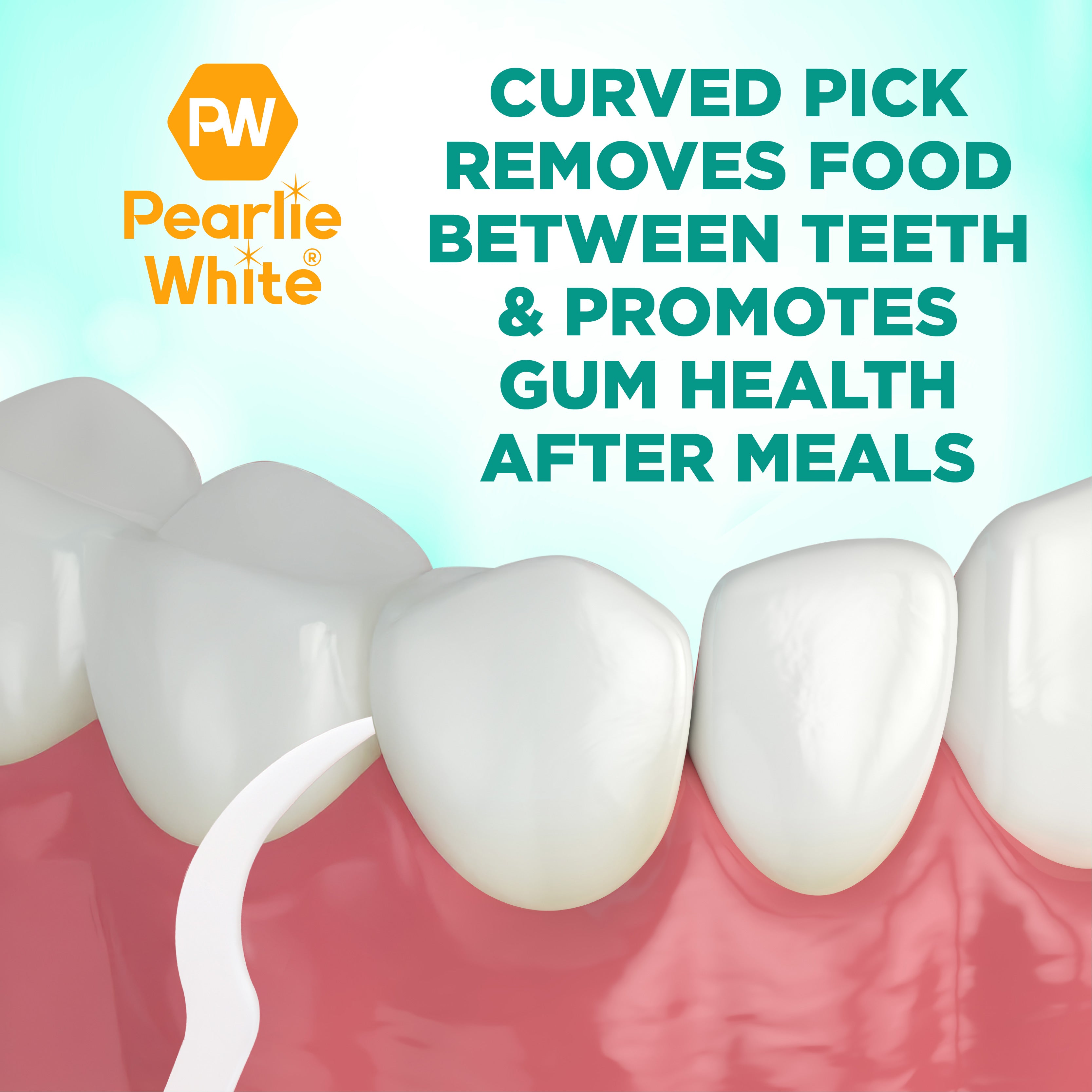 FlossPicks Value 2-IN-1 Mint Flosser 24pcs