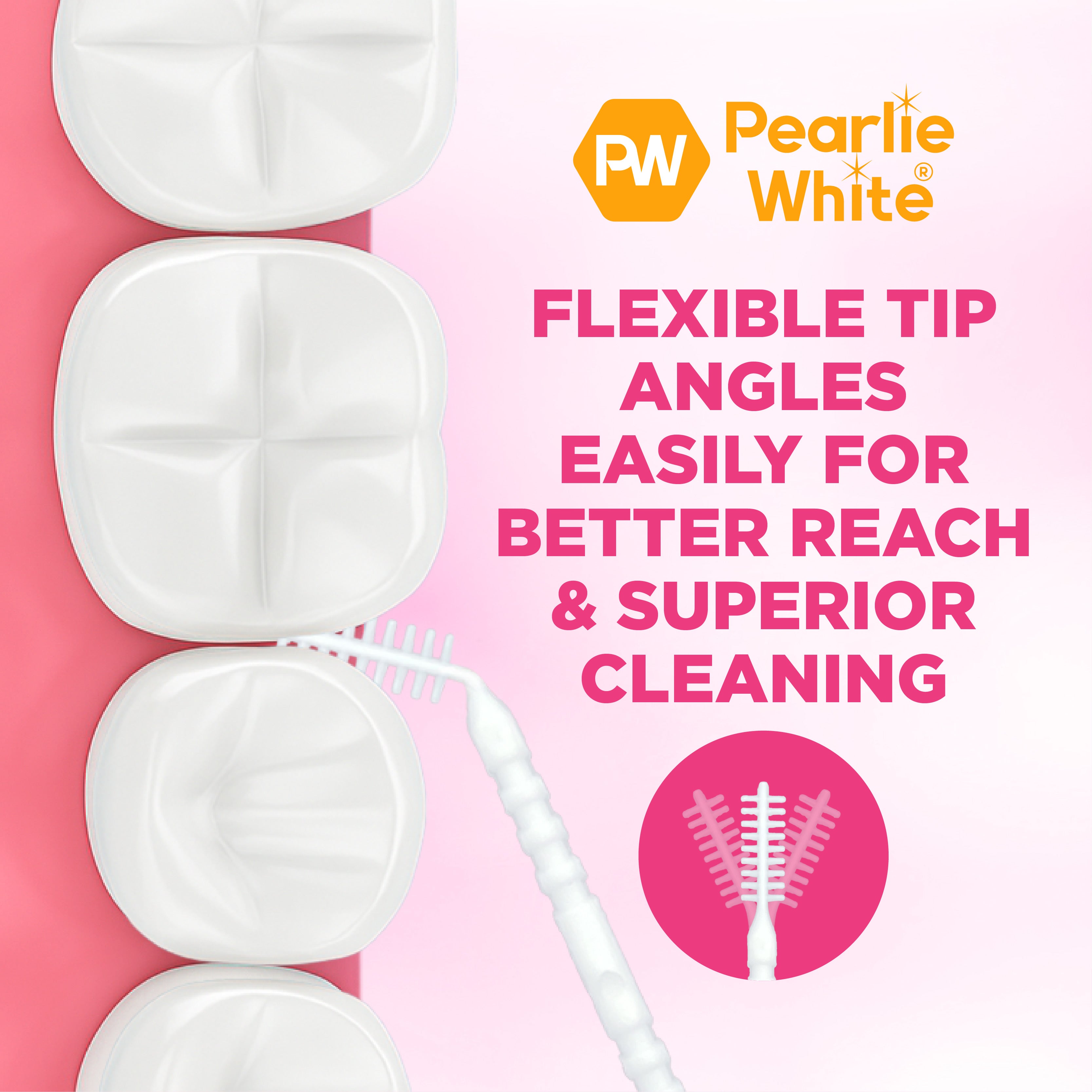 OralPicks 110pcs Slim Case with Mirror