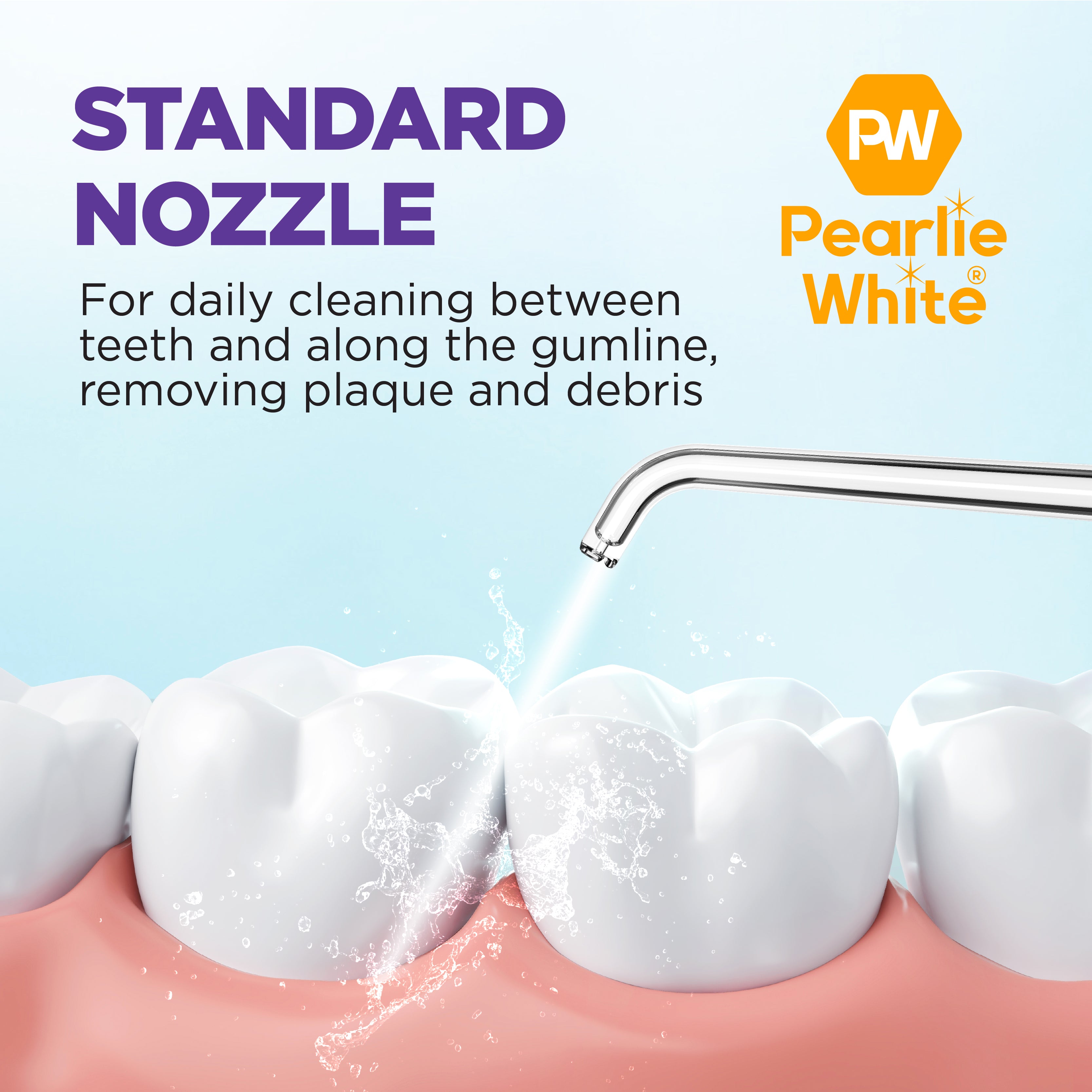 Portable Water Flosser Replacement Nozzles