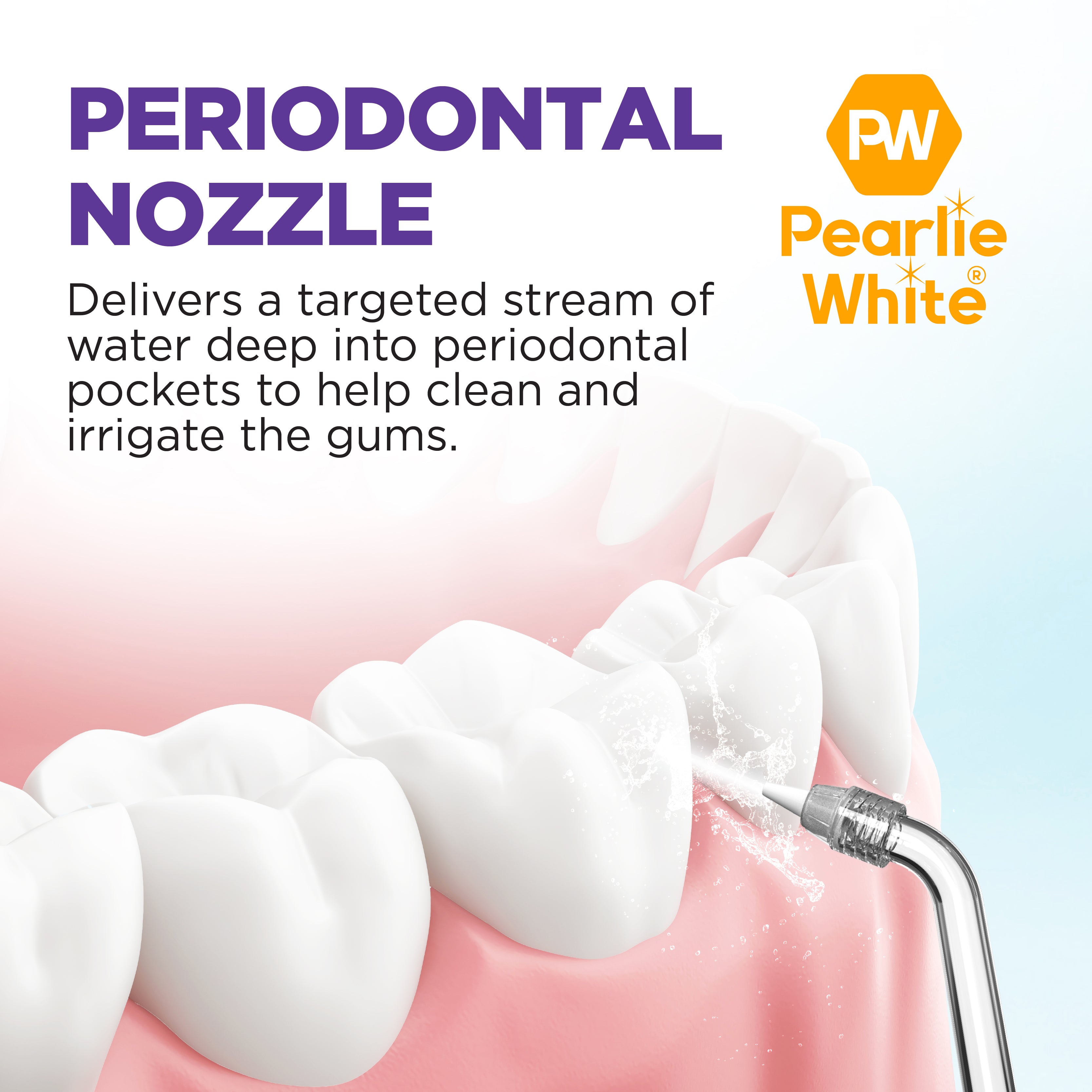 Portable Water Flosser Replacement Nozzles