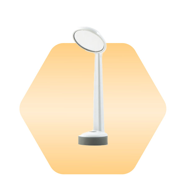 Dental Mirror
