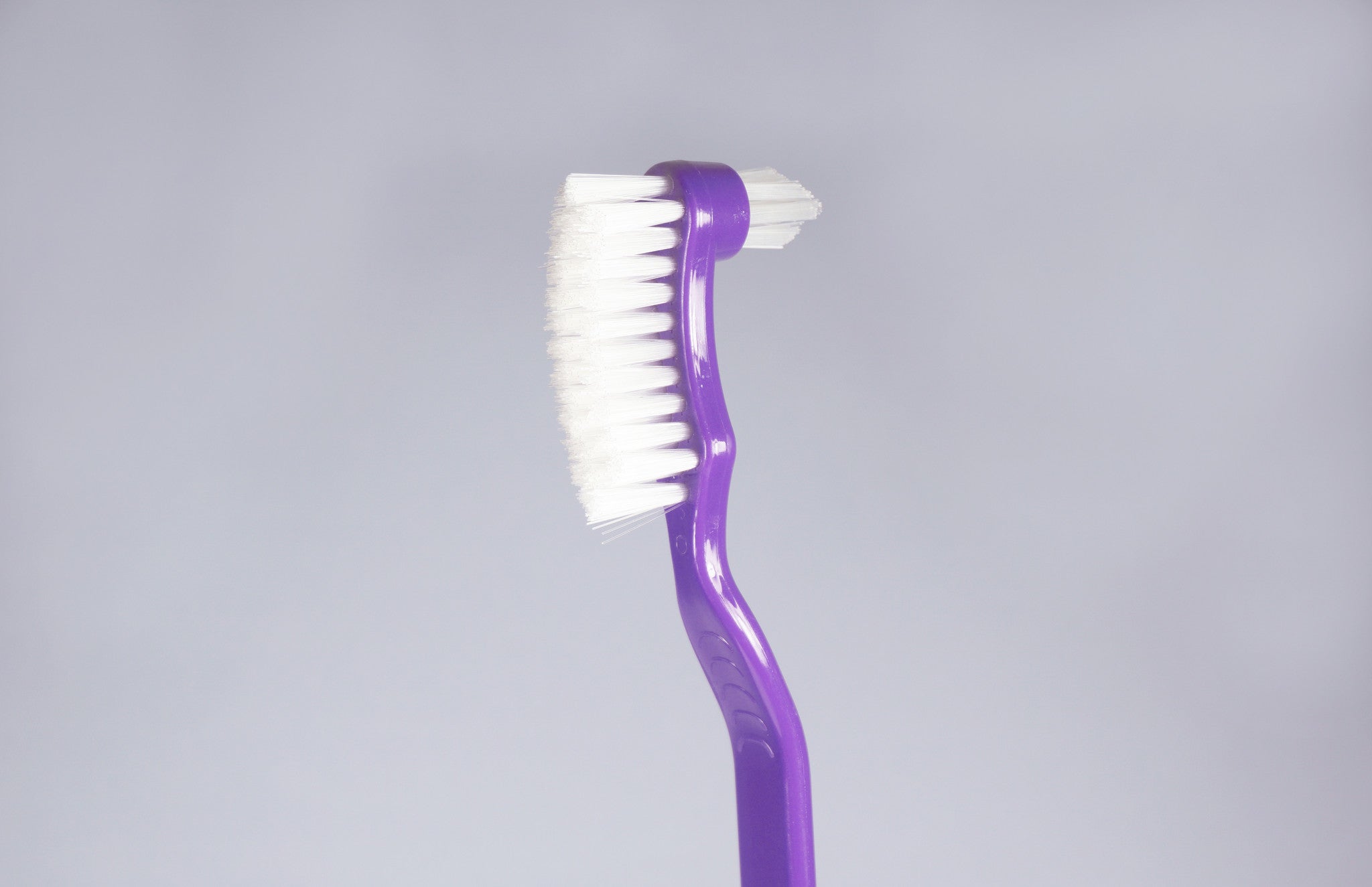 BrushCare Denture Brush