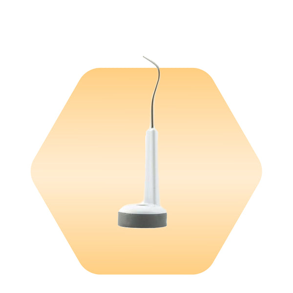 Tooth Plaque Remover head